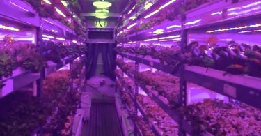 VerticalFarm_Emirates_CropOne