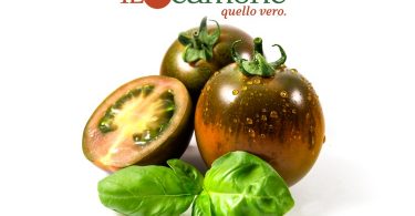 iLcamone_Pomodoro