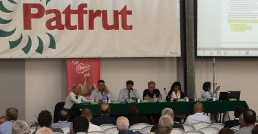 PatfrutBilancio2017