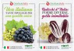 OrtofruttaItalia_UvaDaTavola_Radicchio_Poster