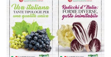 OrtofruttaItalia_UvaDaTavola_Radicchio_Poster