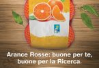 arance ricerca