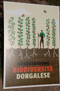 BIodiversità_Dorgali_Frutteto1