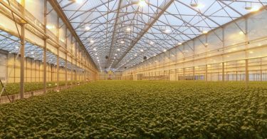 GreenhouseTechnologyVillage_Macfrut2019