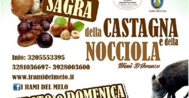 sagra castagna nocciola avella