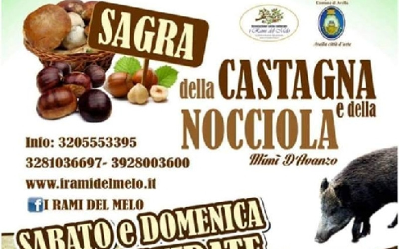 sagra castagna nocciola avella