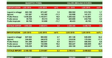 import export ortofrutta