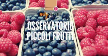 OsservatorioPiccoliFrutti