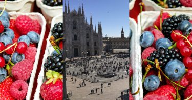 OsservatorioPiccoliFrutti_Milano