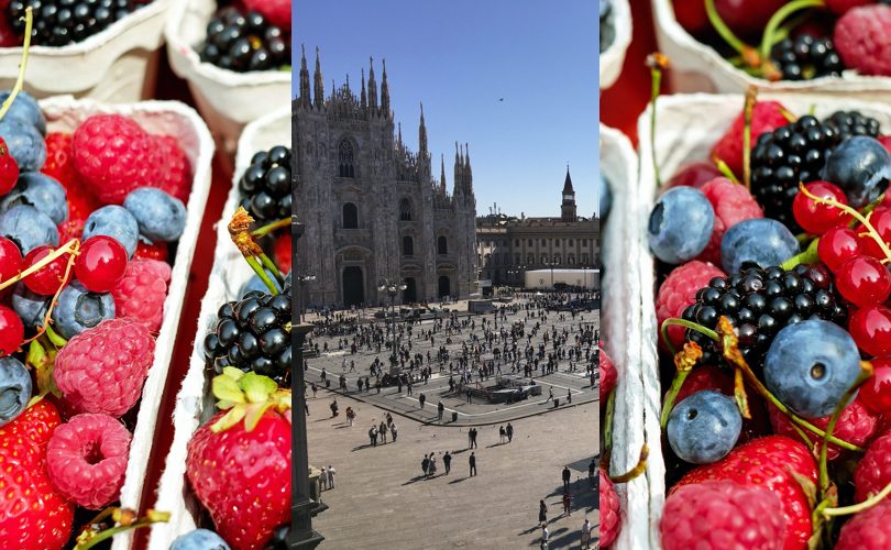 OsservatorioPiccoliFrutti_Milano