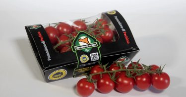 Packaging compostabile Pomodoro di Pachino IGP