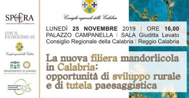 convegno mandorla