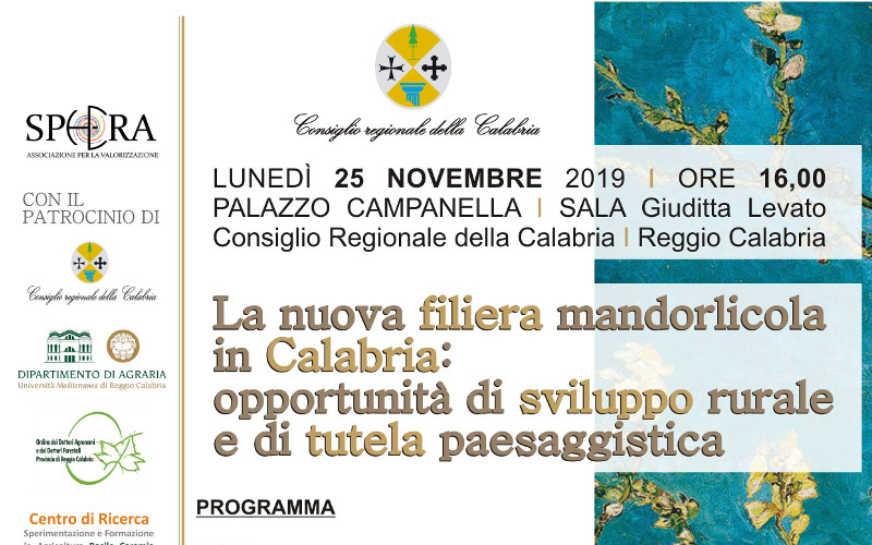 convegno mandorla