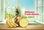 Dole_AbbiamoIlSoleDentro