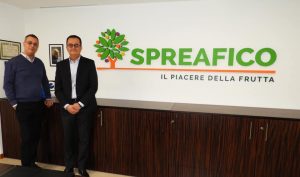 Logo Spreafico 