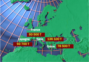 Albicocche, previsione produzioni 2020 in Europa