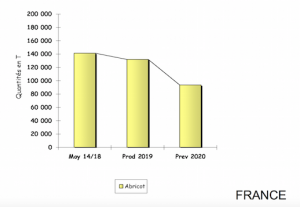 Albicocche, andamento in Francia