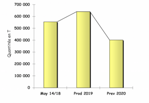 Albicocche, evoluzione della produzione in Europa