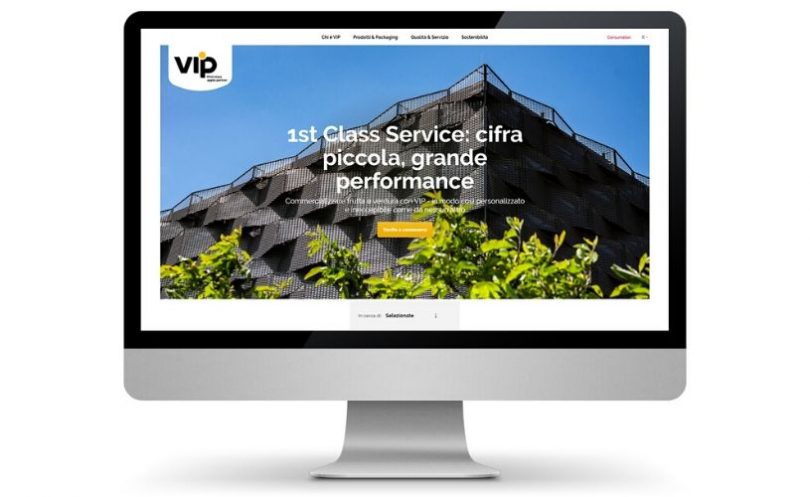 vip website business