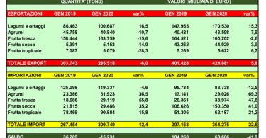 import export frutta secca gennaio 2020