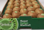 kiwi-sweeki