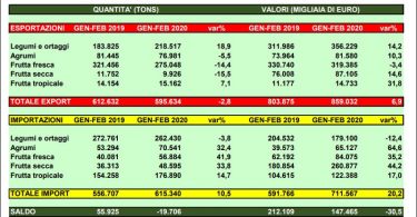 import export gennaio febbraio 2020