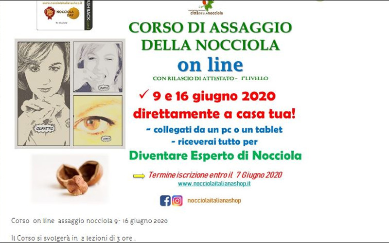 corso assaggio nocciola