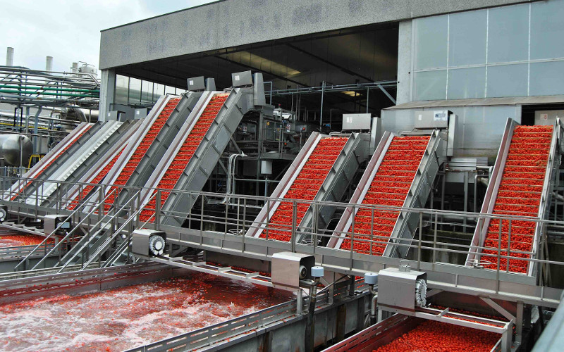 pomodoro da industria