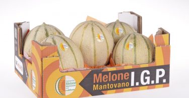 Melone_Mantovano_IGP