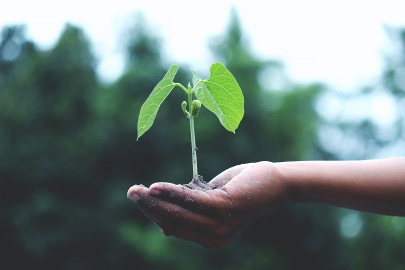 euro per le imprese agricole