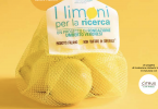 limoni per la ricerca