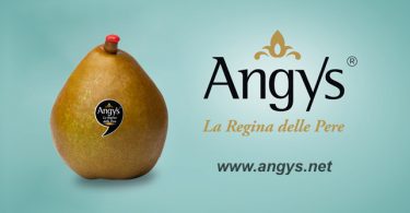 Spreafico_campagna_TV_Angys_foto