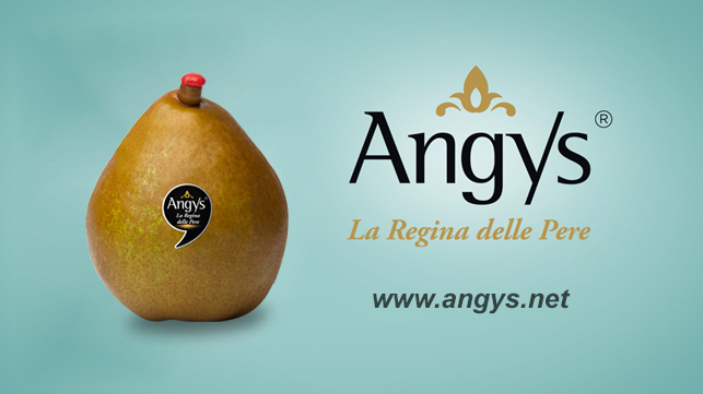 Spreafico_campagna_TV_Angys_foto