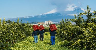 arancia rossa sicilia