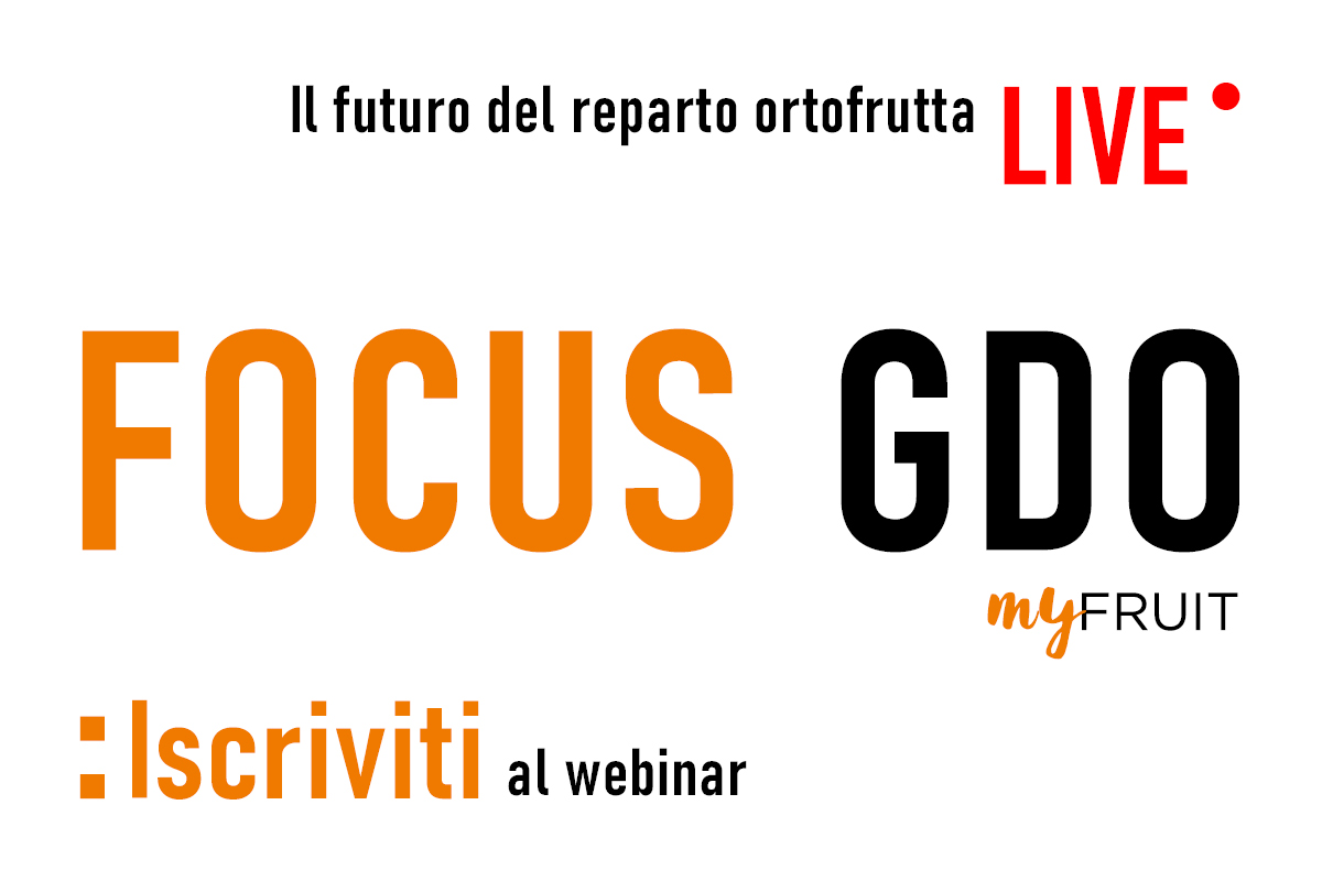 Focus GDO live