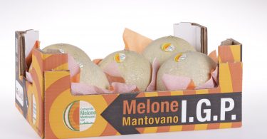 Melone_Mantovano_IGP