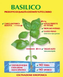 Basilico