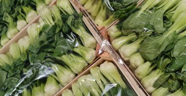 pak choi