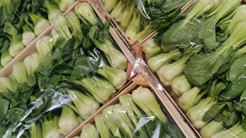 pak choi