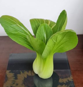 pak choi