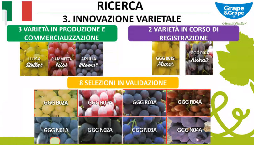 innovazione varietale