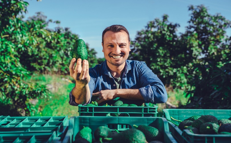 Avocado Sicilia