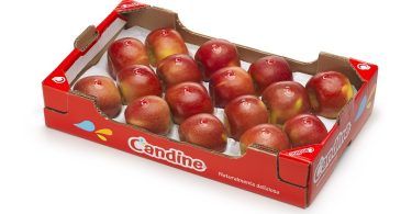 Candine